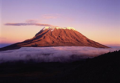 Tanzaniatourism.png